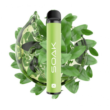 SOAK X Зеленый чай