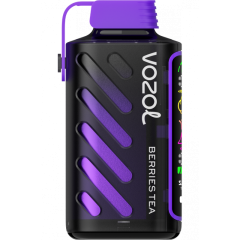 VОZOL GEAR POWER 20000 Чай со Смешанными Ягодами